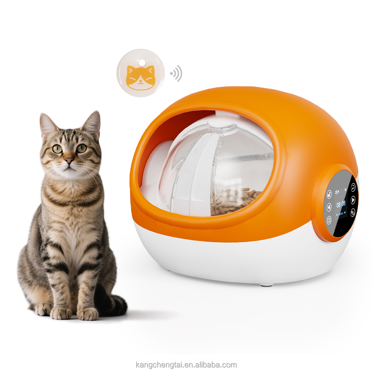 Orange Cat Feeder