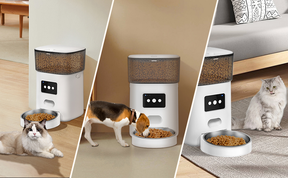 Petchain 4L WiFi Pet Food Dispenser with Low Food Alarm 10s Voice Recorder Feeding Schedule Automatic Cat Feeder