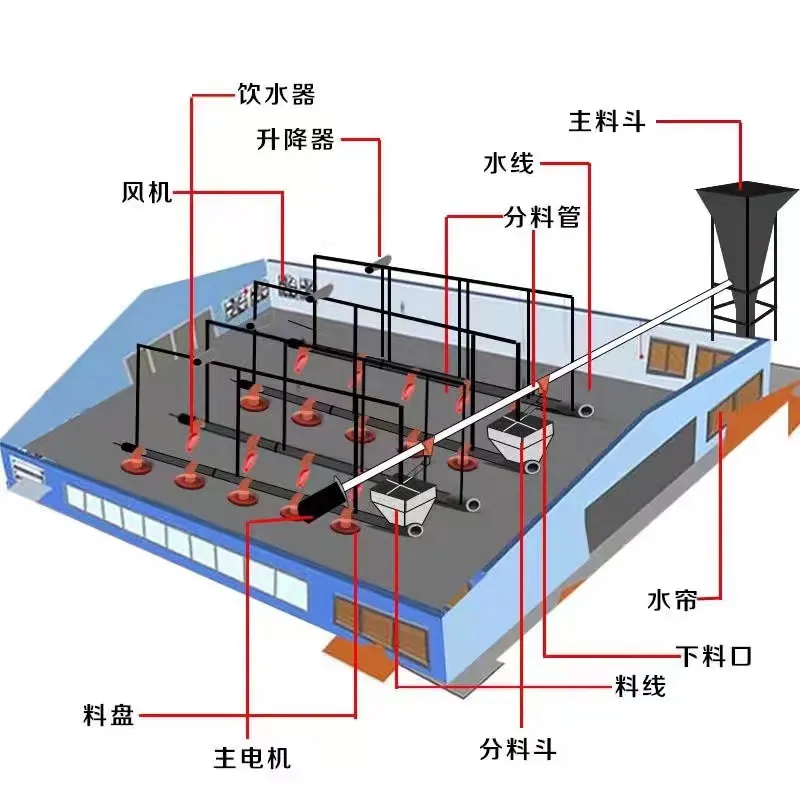 High-Efficiency Automatic Auger Feeding System for Broiler Farms