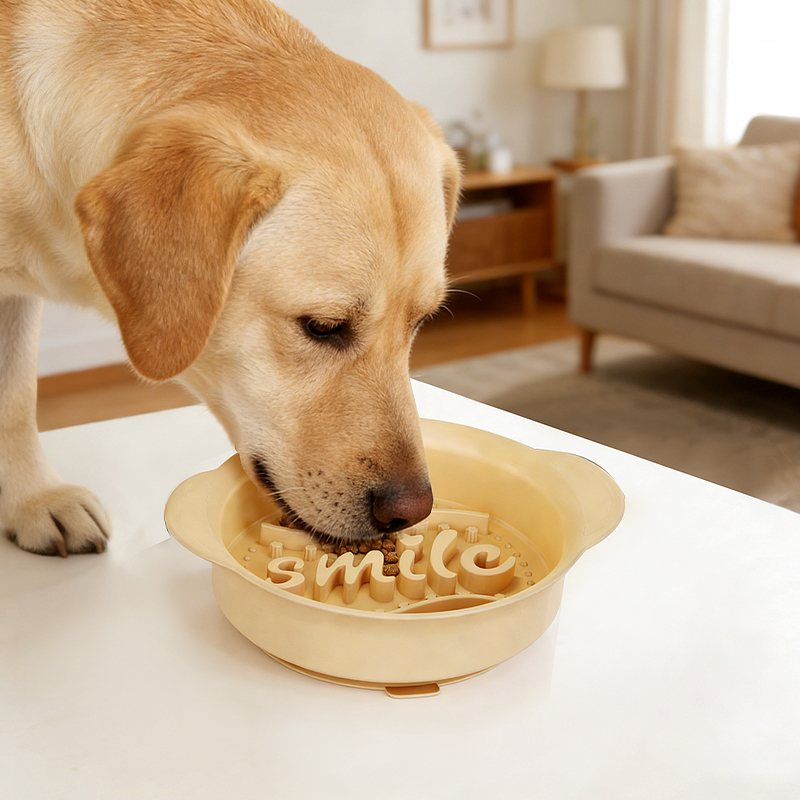 2026 New Arrival Anti-Overturning Puzzle Feeders Dish Dog Anti-Choking Silicone Slow Feeder Bowls For Healthy Eating Experience