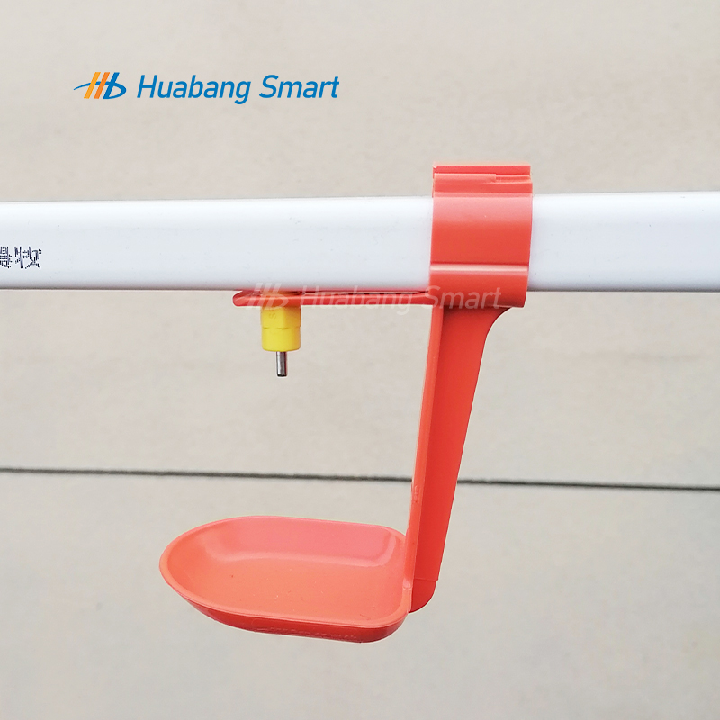 Automatic Poultry Nipple Drinkers Chicken Watering System with Cup Design Feeder Compatibility and Water Features for Farms