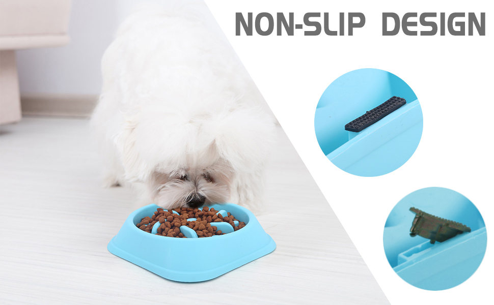 Pet Bowl Highlight 4