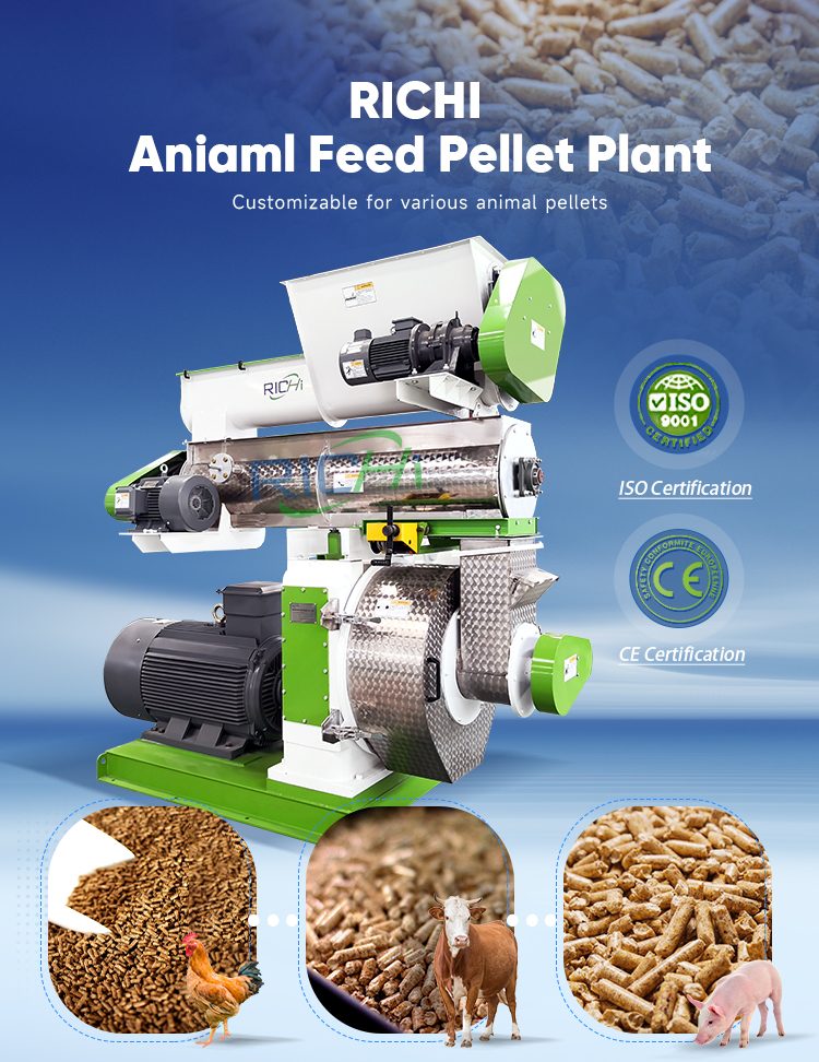 Fully Automatic Cattle Feed Plant