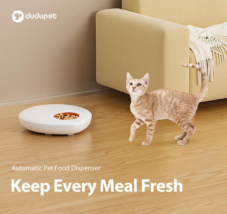 Pet Product Showcase 1