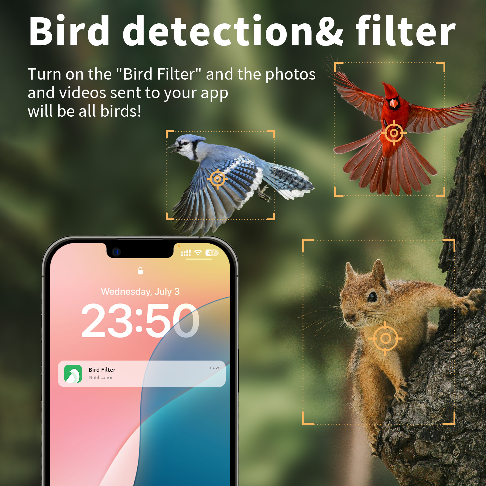 Feeder Feature 5