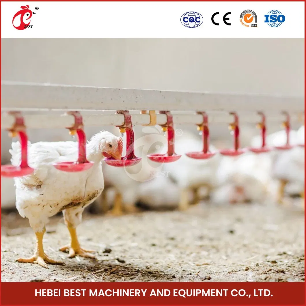 Bestchickencage Broiler Deep Litter System OEM Custom China Automatic Feeding Broiler Flooring Deep Litter System Suppliers