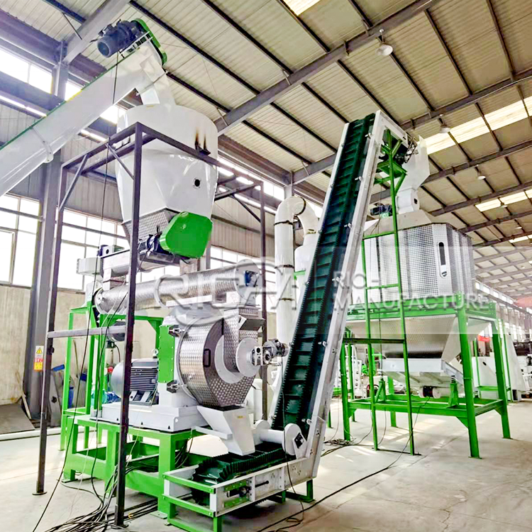 RICHI Beet Pulp Pellet Machine Plant Turnkey Feed Processing System With Customized Capacity And Design