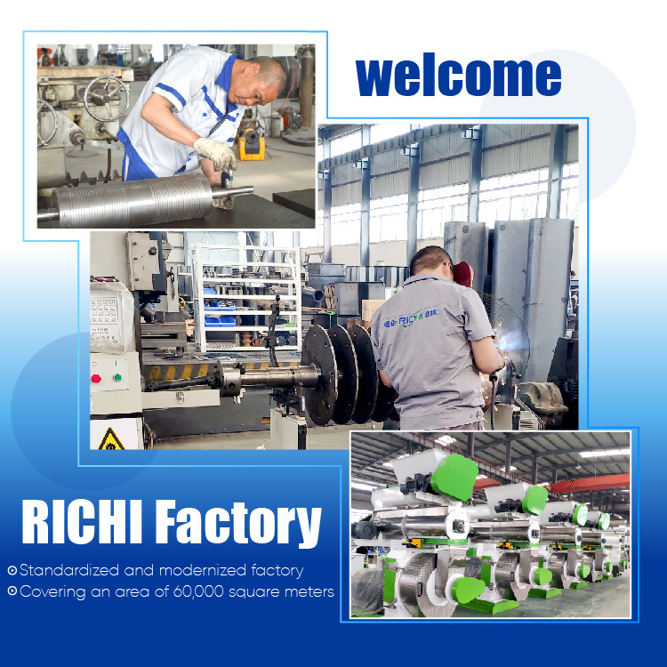 RICHI Energy Efficient 5-7t/h Cow Fully Automatic Cattle Feed Plant
