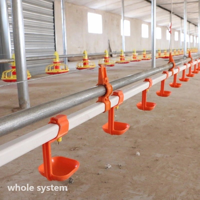 Automated Poultry Farming Feeding System with 14 Cells Stainless Steel
