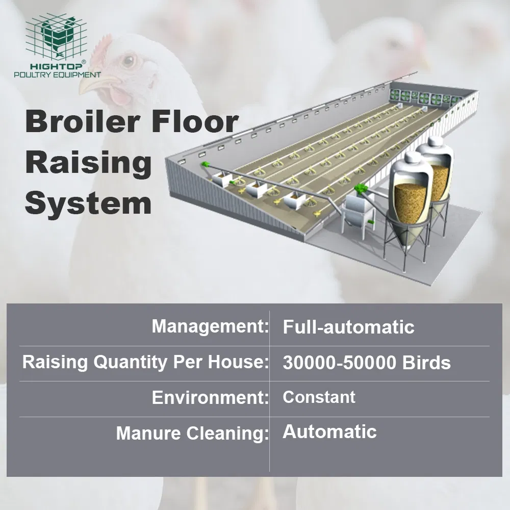 Low Price Poultry Ground Floor Raising Equipment For Broilers With Automatic Feeding System