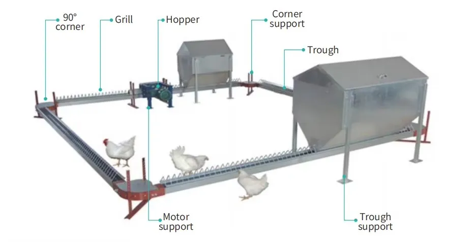 Lifting Type Flat Chain Feeding System in Breeder House