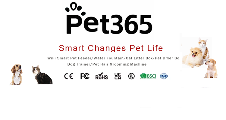 Smart Pet Feeder Banner