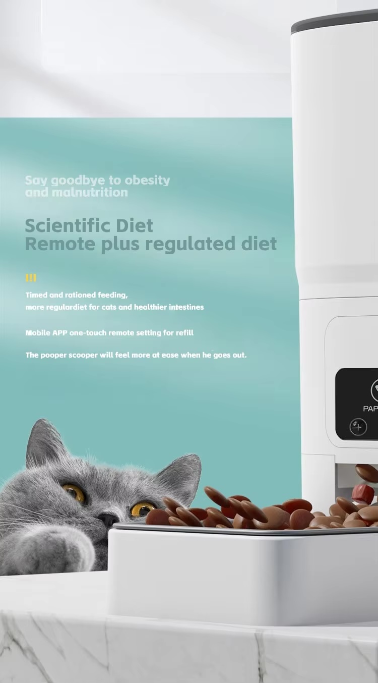 Automatic Dog Feeder App Setup