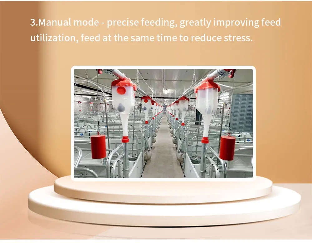 High Efficiency Equipment Automatic Pig Feeding System