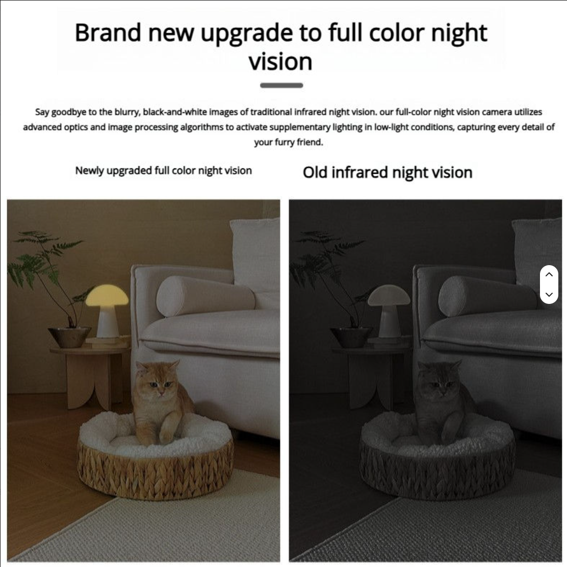 Smart Portable Lightweight Pet Intelligent Automatic Feeder for Cats and Dogs Saves Time and Effort with APP Support