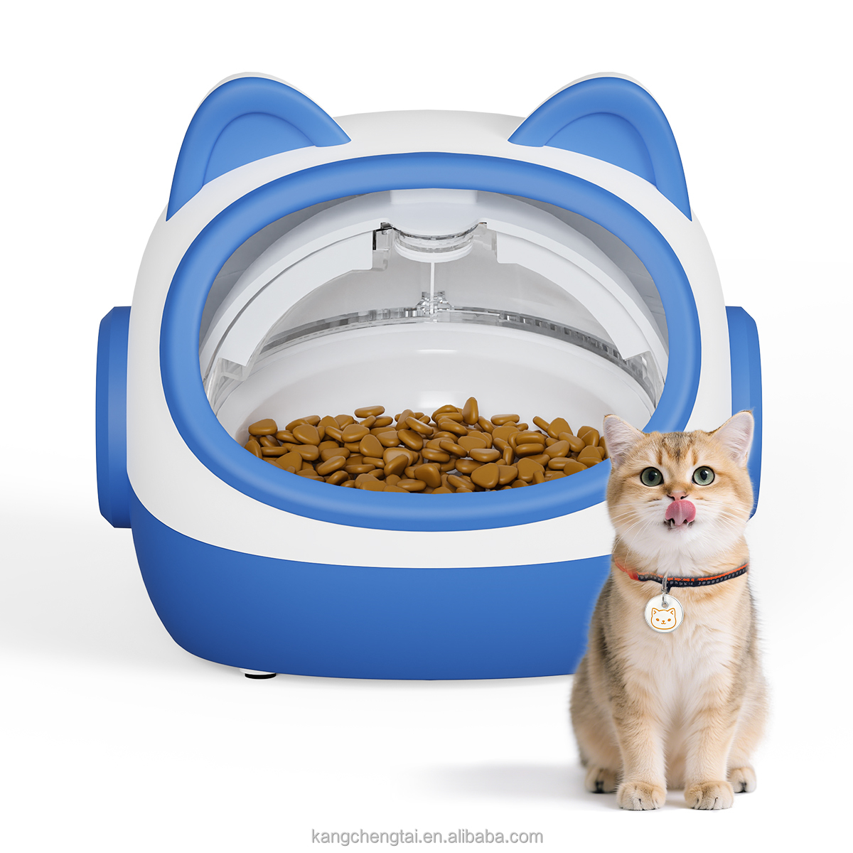 Blue Cat Feeder