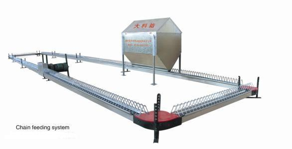 Chain Feeding Machine (Lifting Type) Flat Chain Feeding System in Breeder House