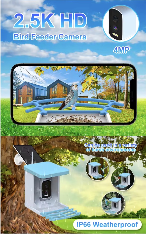 Hummingbird Feeder Camera Feature View