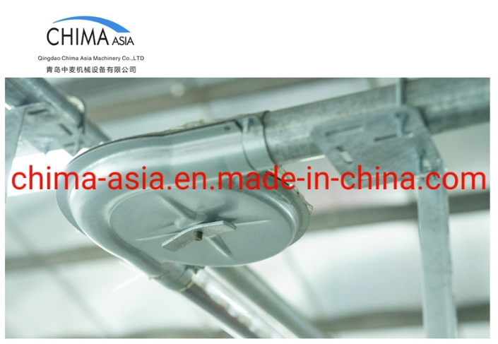 High Quality Pig Farming Equipment Automatic Auger Disc-Chain Feeding System with Corner