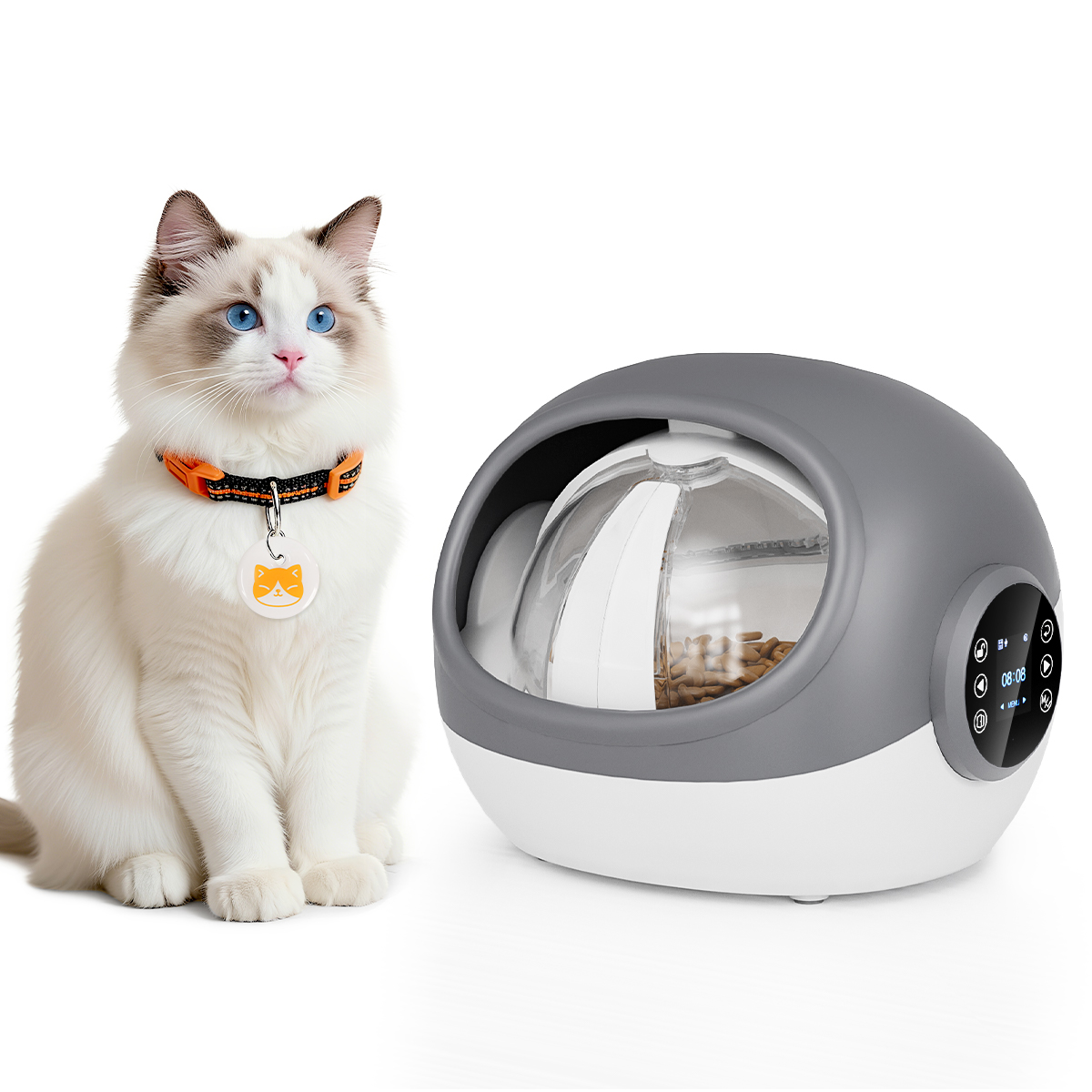 Grey Cat Feeder