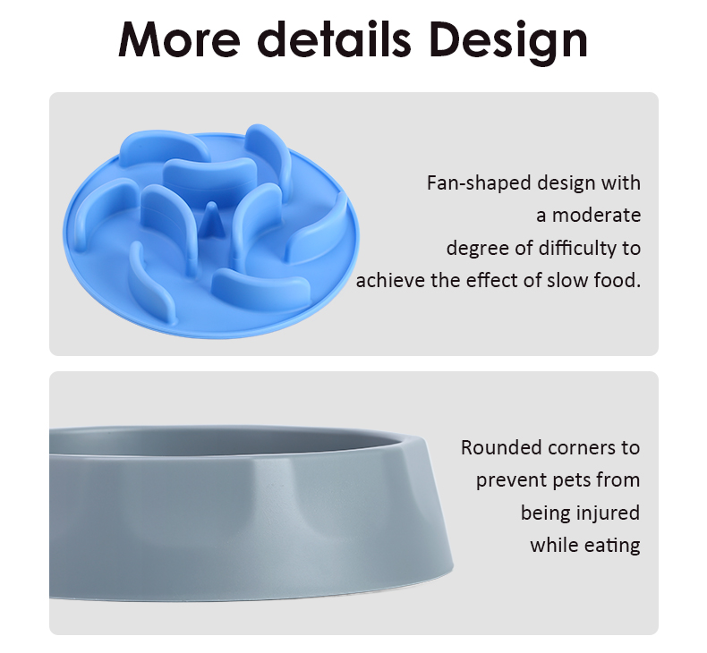 Product Showcase 9