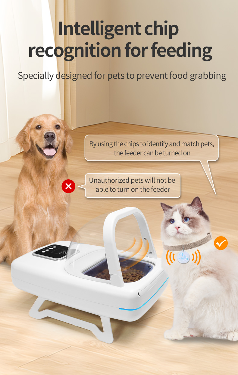 Collar Sensor Feeder