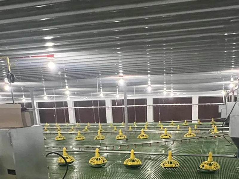Lighting system