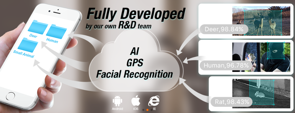 R&D Customization Process