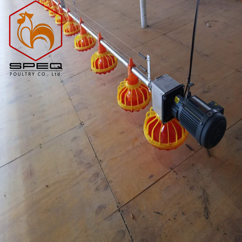 High-Efficiency Automatic Auger Feeding System for Broiler Farms