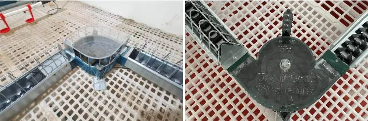 South Africa brand TS chain