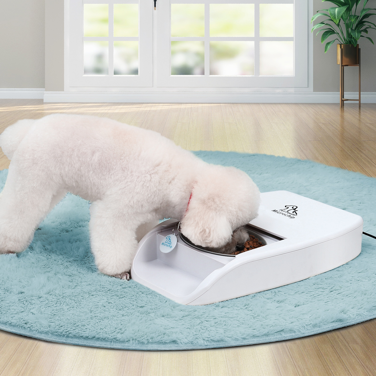 Smart Silent Pet Food Dispenser with Portion Control RFID Cat &amp; Dog Feeder Anti-Steal Automatic Feeder