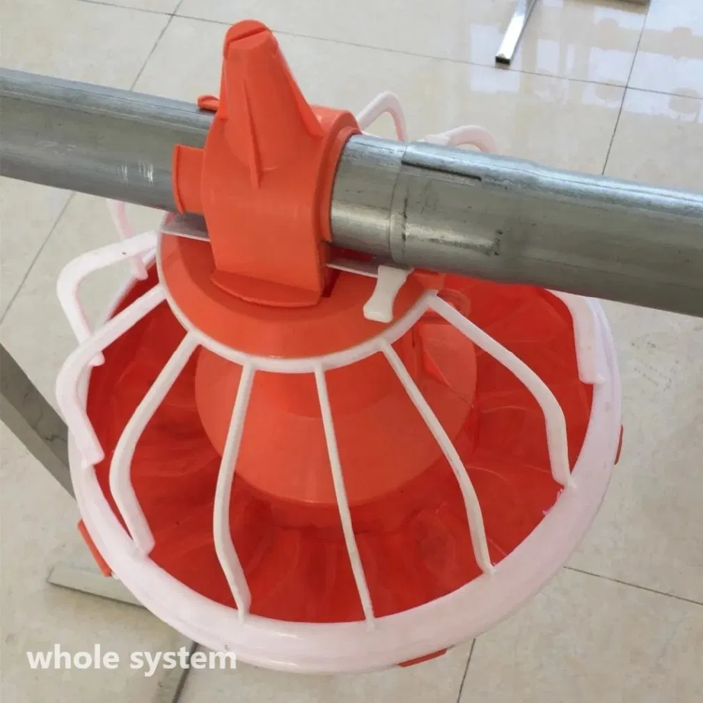 Automated Poultry Farming Feeding System with 14 Cells Stainless Steel