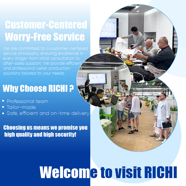 RICHI Energy Efficient 5-7t/h Cow Fully Automatic Cattle Feed Plant