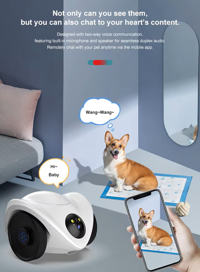 Pet feeder functional display