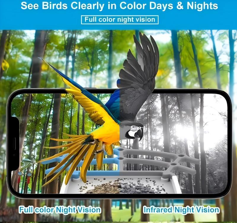 Smart Bird Feeder Multi View