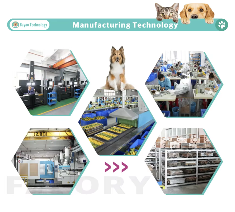 Production Line Facility