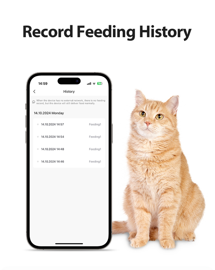 Pet Product Showcase 6