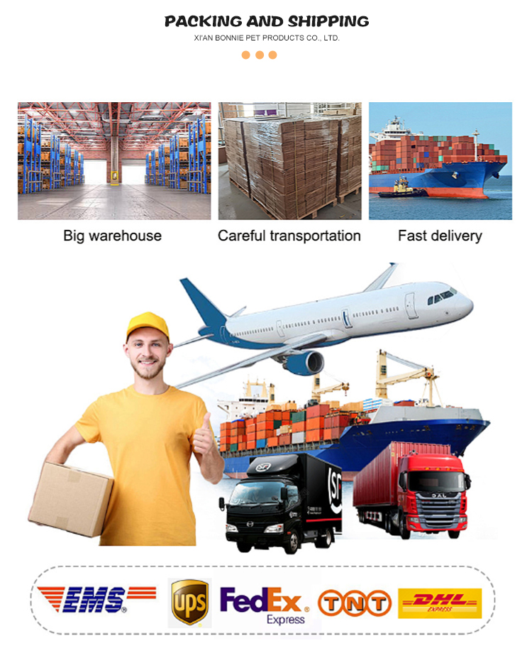 Packing & Delivery Showcase