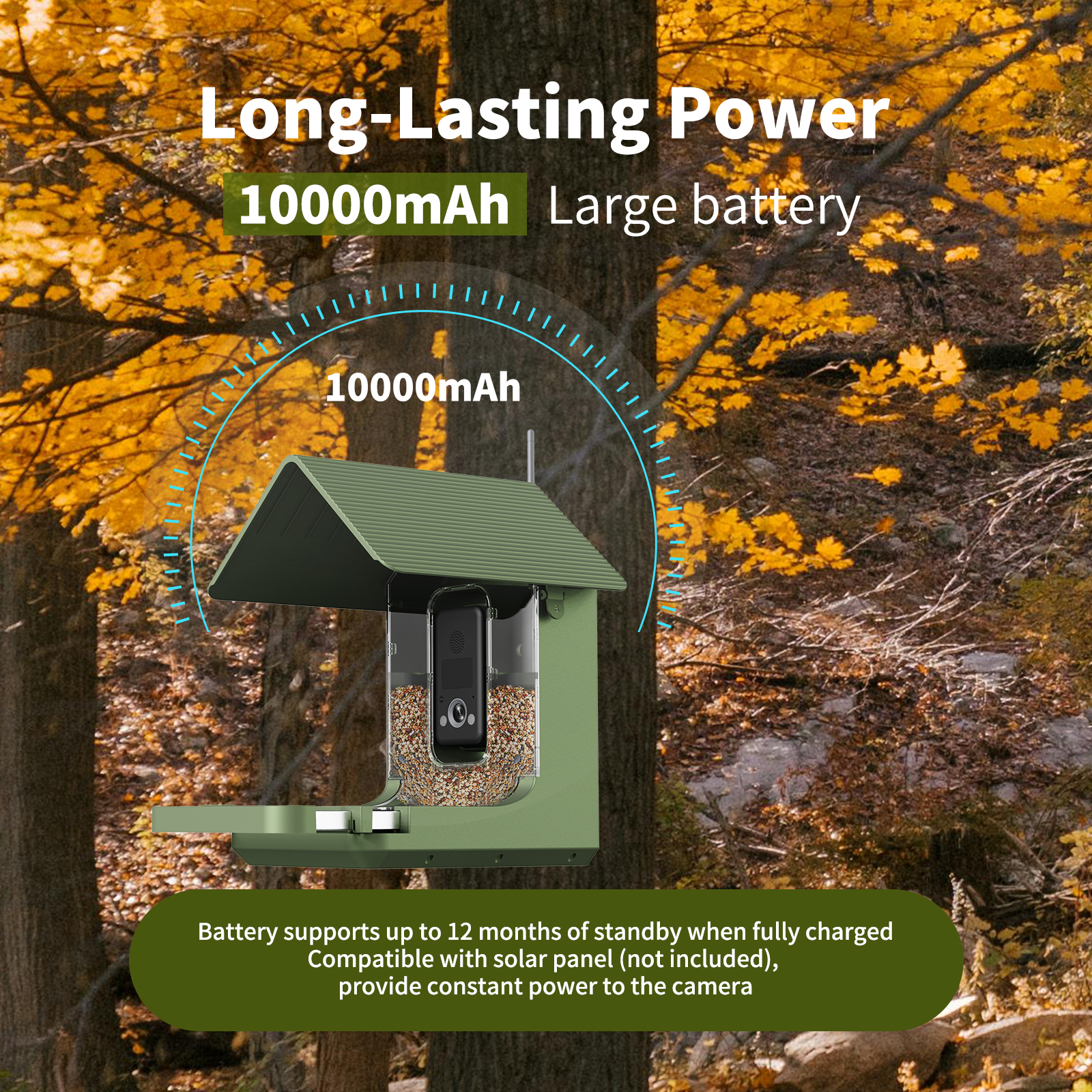 4K AI Bird Feeder Camera With 10,000+ Species Identification, Solar Powered With 1.5L Large Feeder