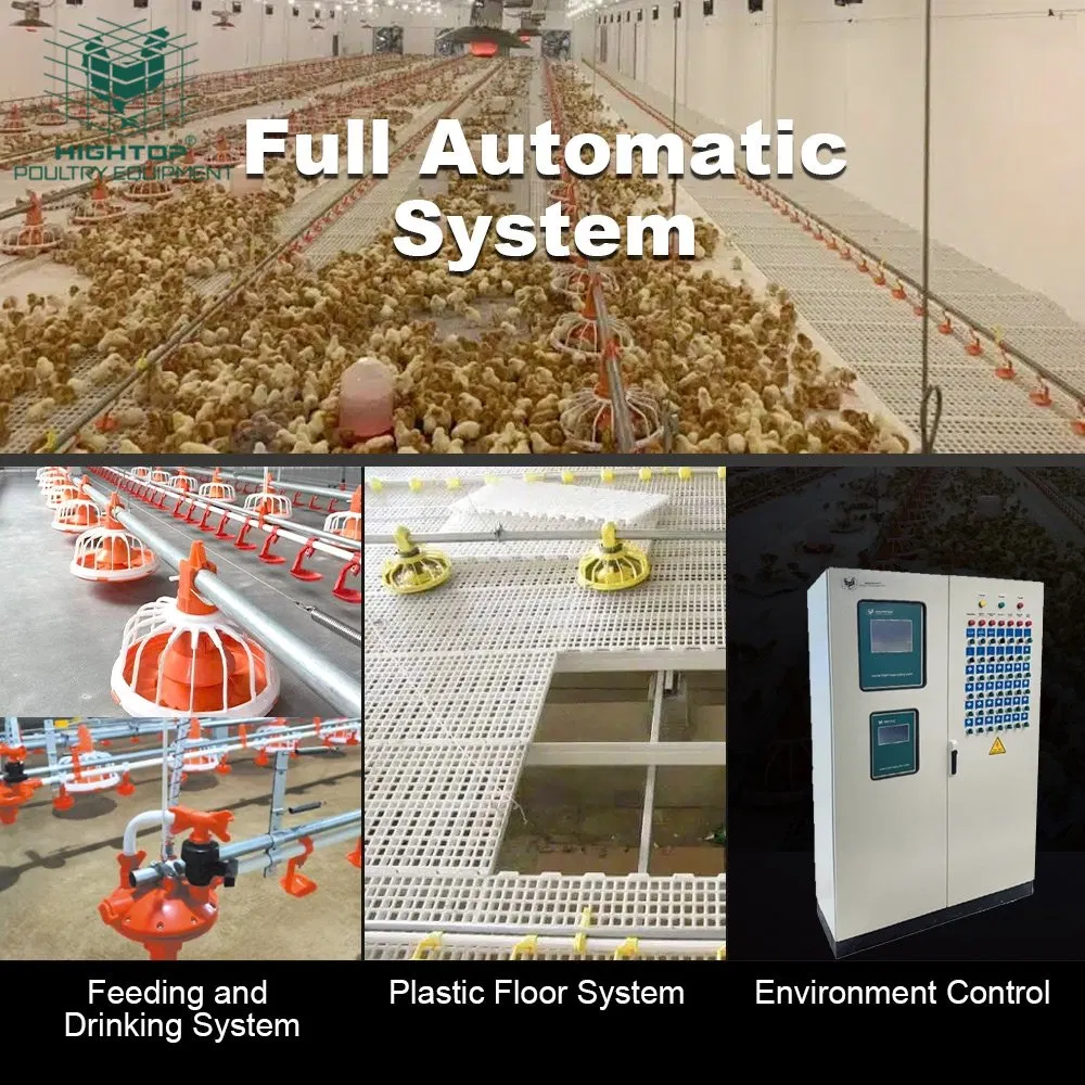 Poultry Farm Broilers Feeder Pan Equipment Fully Automatic Chicken Feeding Line System