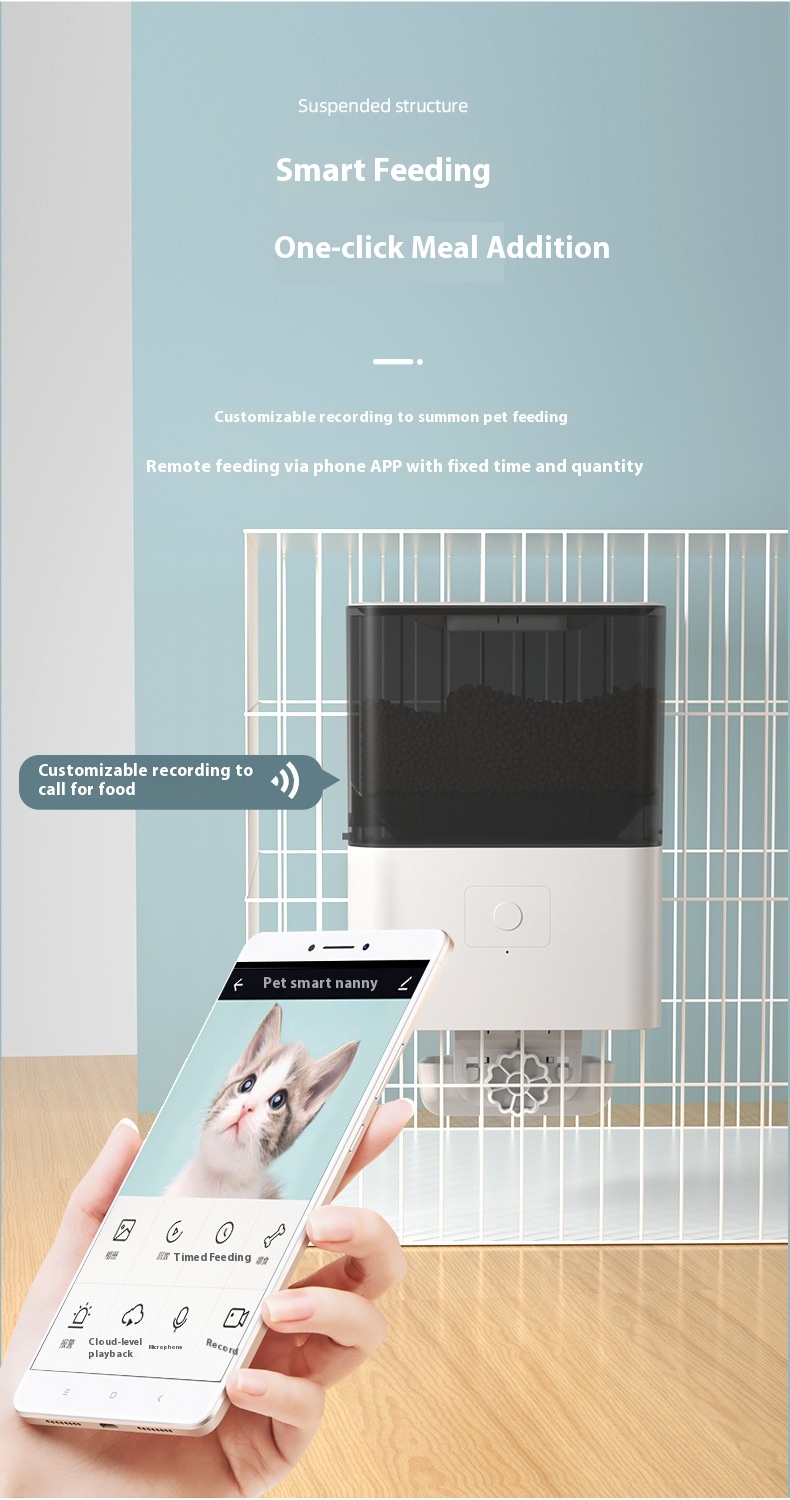 Product View 6