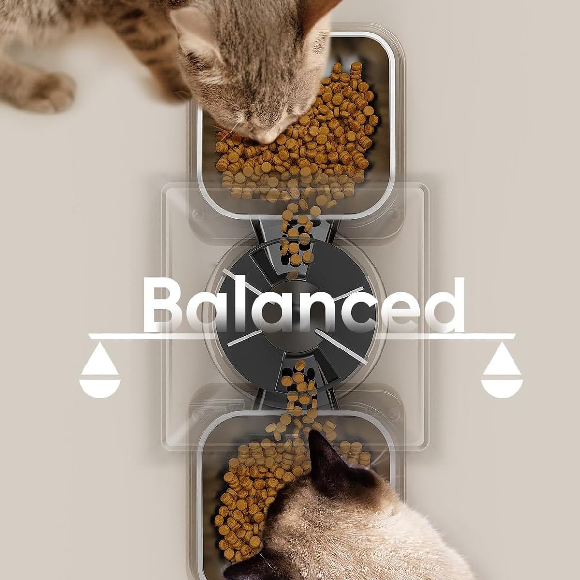 High Tech Smart Automatic Dog Feeder Double Bowls Design Voice Interaction Charge Powered 5L Eco-friendly Stainless Steel Pets
