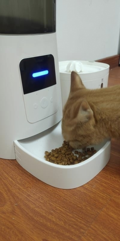 6L Smart HD Camera Voice Recording ABS Dual Power Pet Feeder