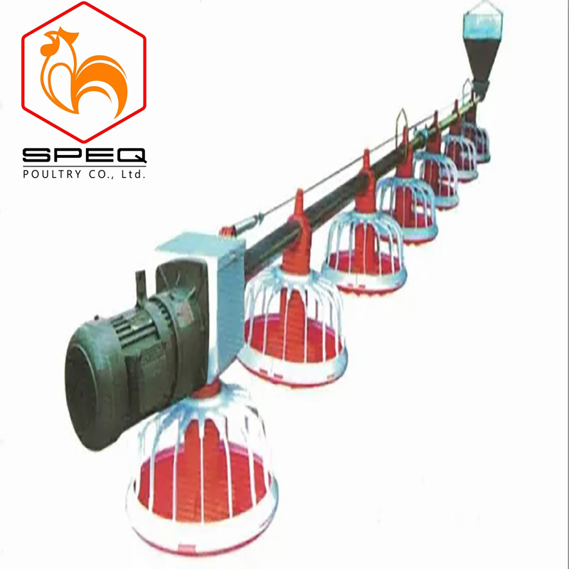 High-Efficiency Automatic Auger Feeding System for Broiler Farms