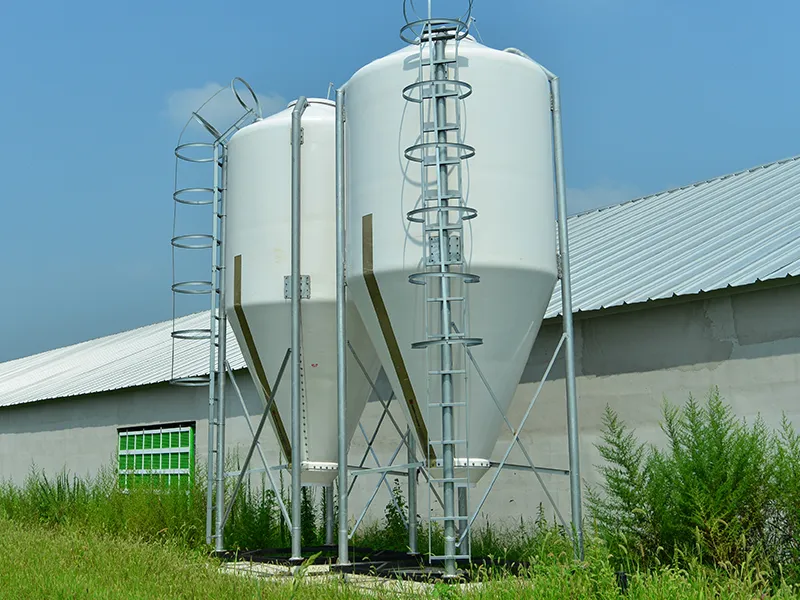 Main Feeding System Silo