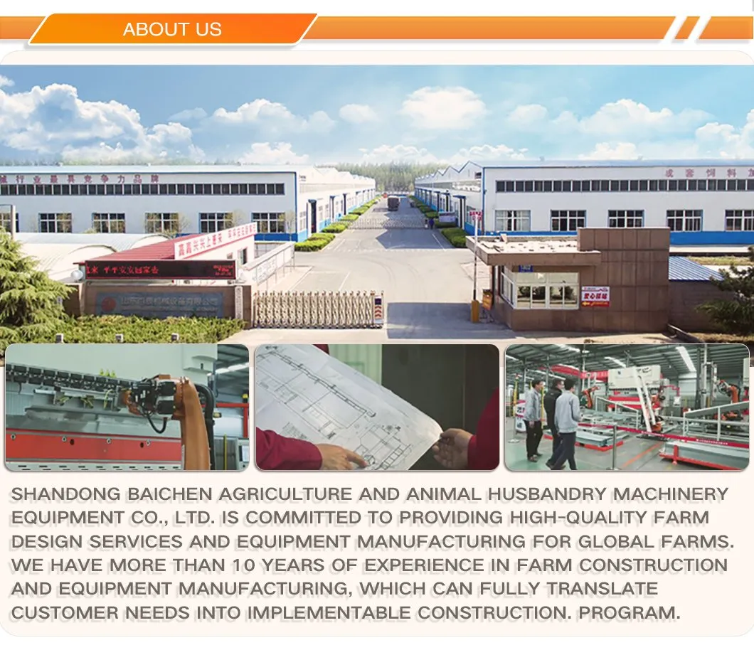 Auto Flat Chain Feeding System Structure Layout