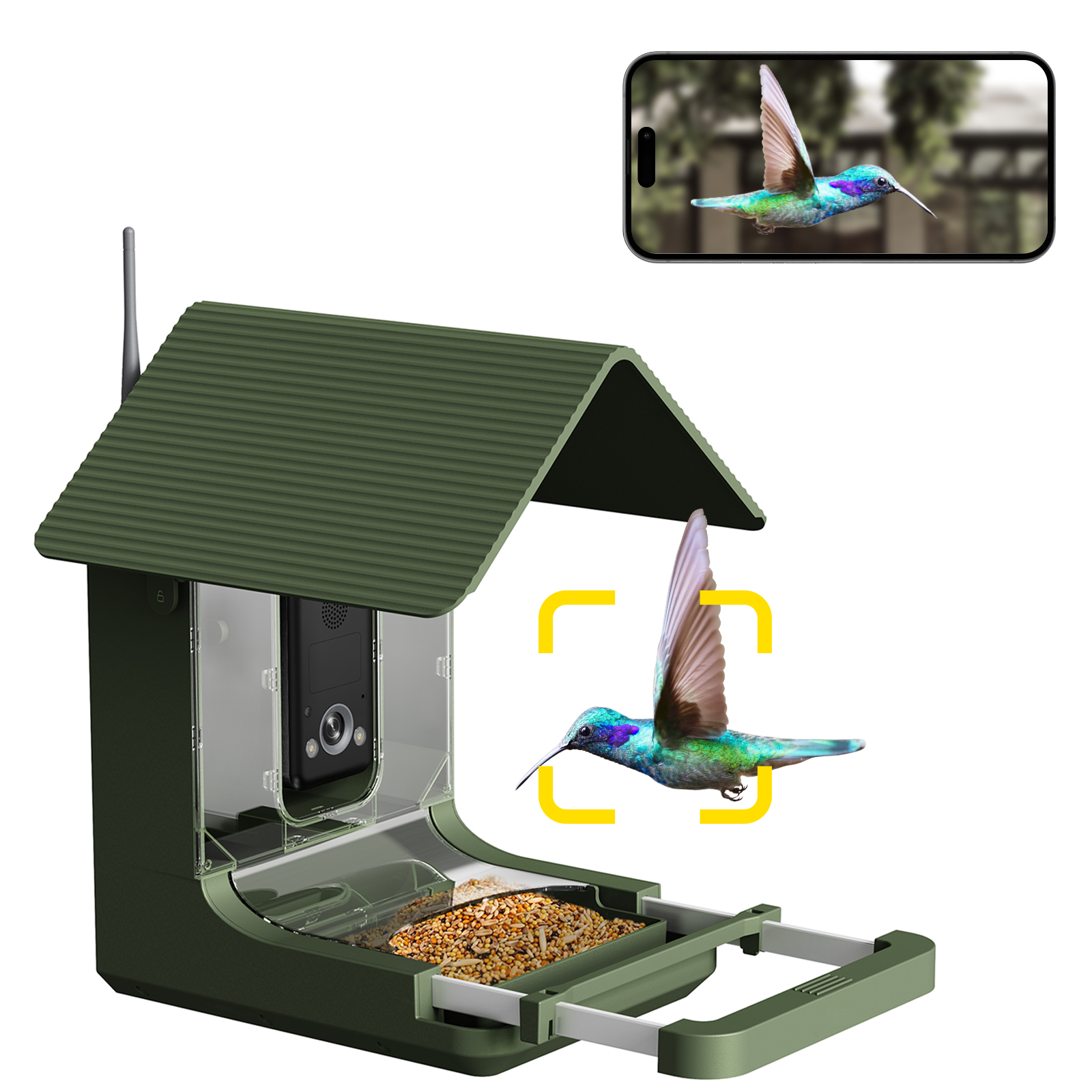 Willfine 4K AI Bird Feeder Camera Bird Species AI Identification IP66 Waterproof Live Stream WIFI Remote Control OEM ODM