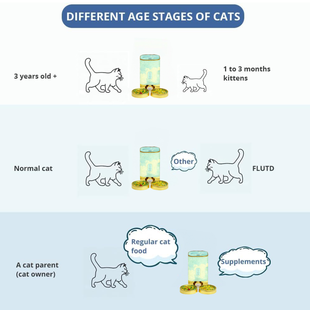 Pet Feeder Details 4