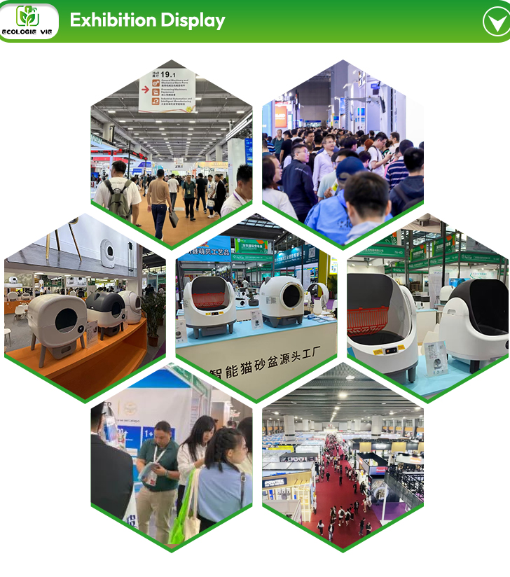 Global exhibition booths