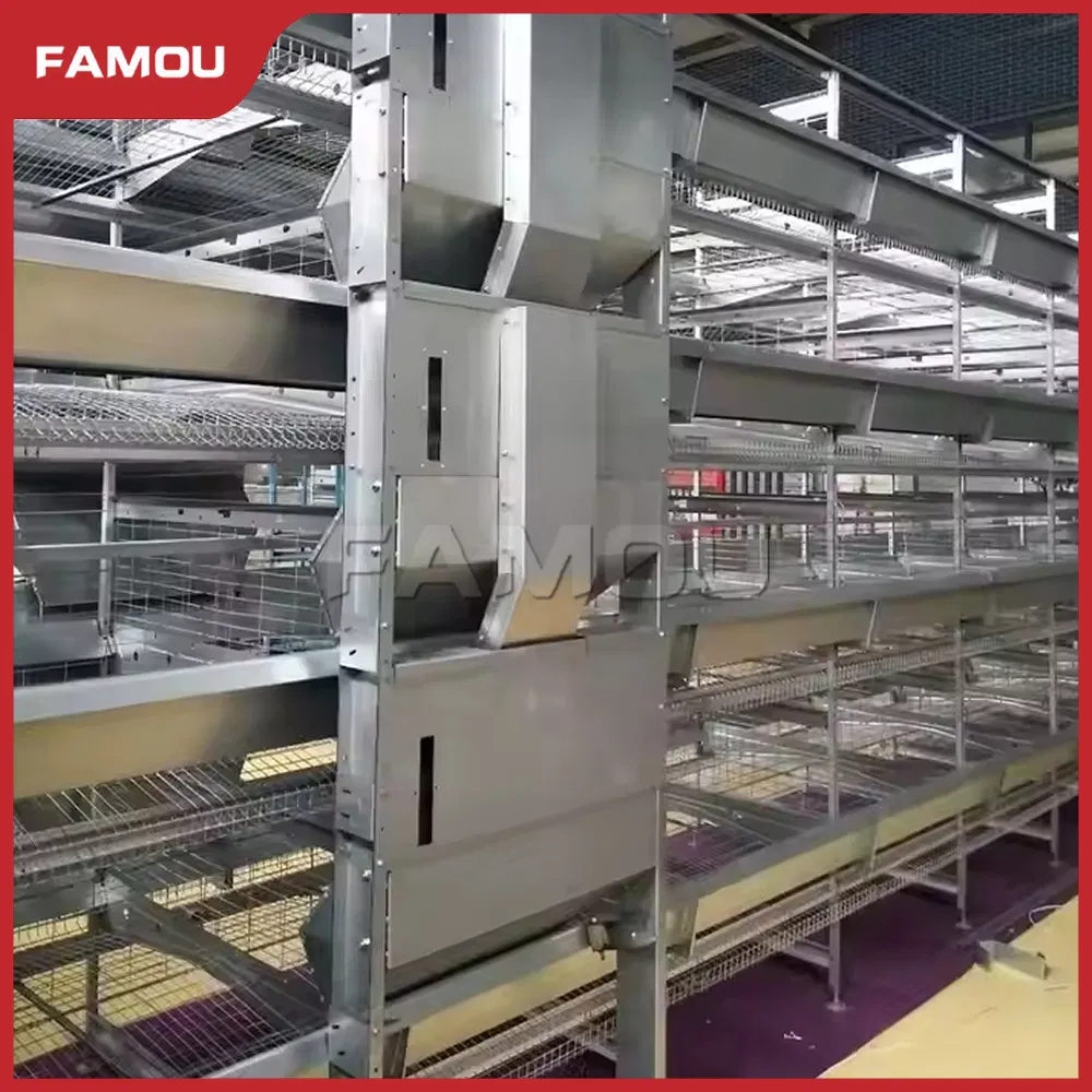 Automatic Poultry Equipment H Ladder Type Poultry Chain Trolley Feeding Silo System